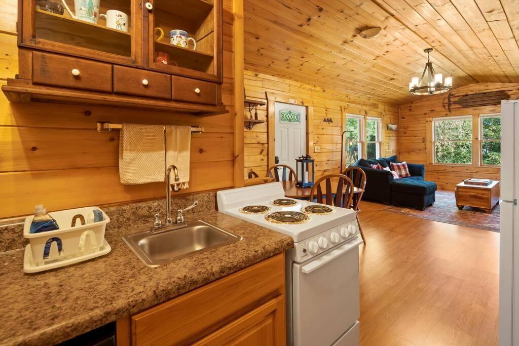 Dream Weaver Cabin Villa Candler Kültér fotó