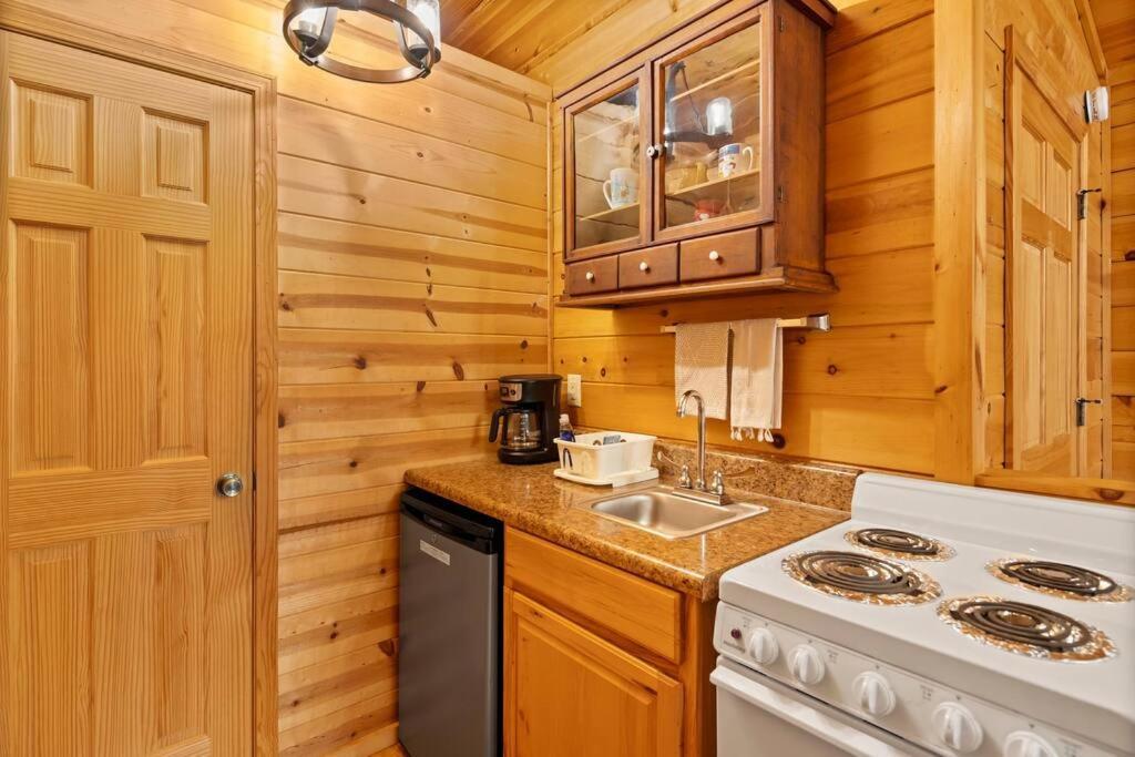 Dream Weaver Cabin Villa Candler Kültér fotó